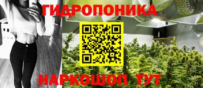 стафф Будённовск