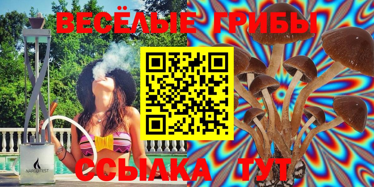 Галлюциногенные грибы Psilocybe Калининград