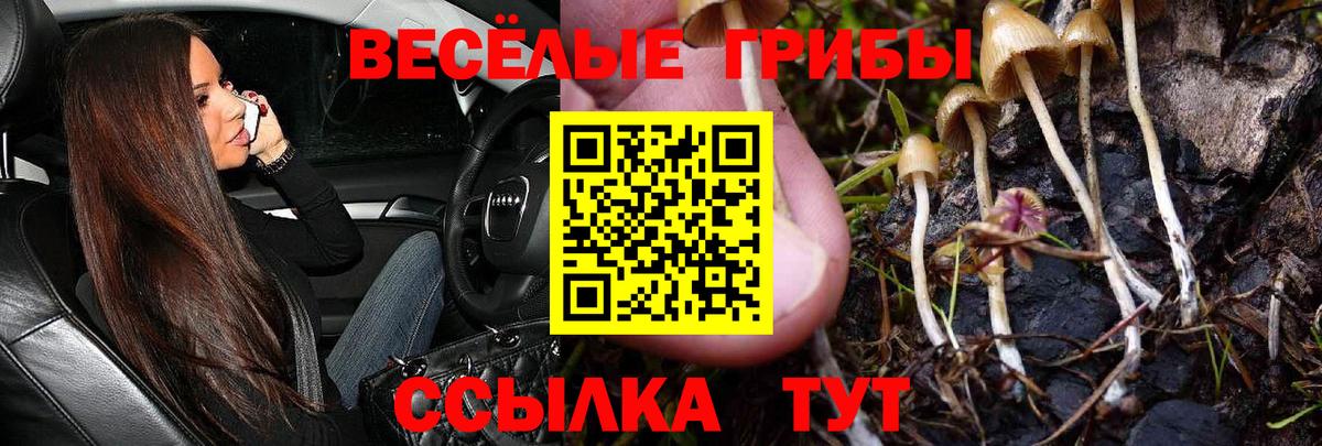 Галлюциногенные грибы Psilocybine cubensis  Вход с VPN  Калининград 